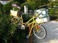 Saint-Martin d'Abbat