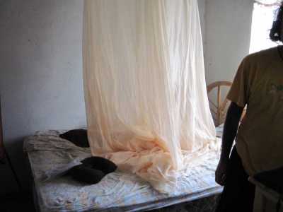 En route  /  Survoje