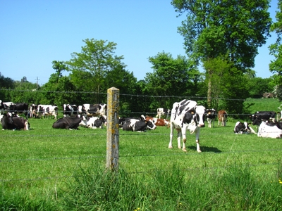 Normandie / Normandio