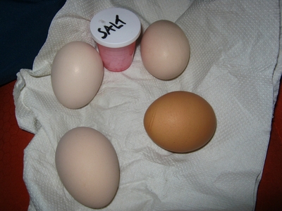 En route  /  Survoje