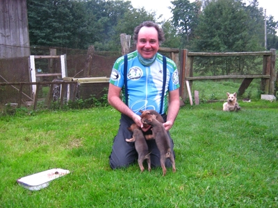 En route  /  Survoje