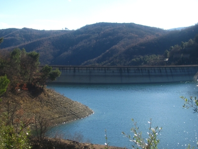 En route  /  Survoje