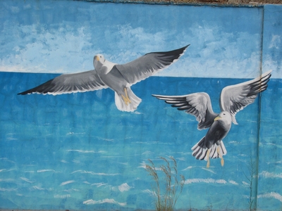 La Línea de la Concepción