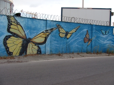 La Línea de la Concepción