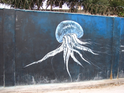 La Línea de la Concepción