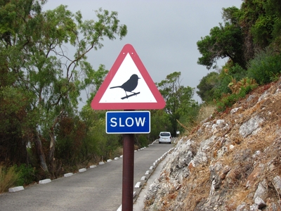 Gibraltar / Ĝibraltaro