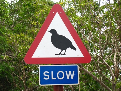 Gibraltar / Ĝibraltaro