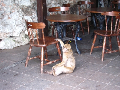 Gibraltar / Ĝibraltaro